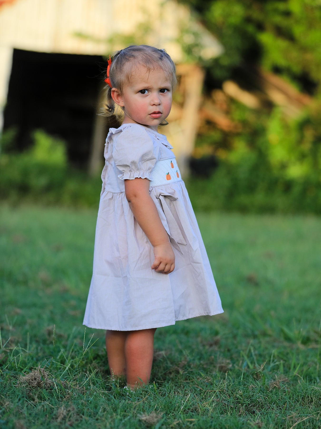 Fall Thanksgiving Pumpkin Embroidery Smock Plaid Girls Dress - Abbies Place