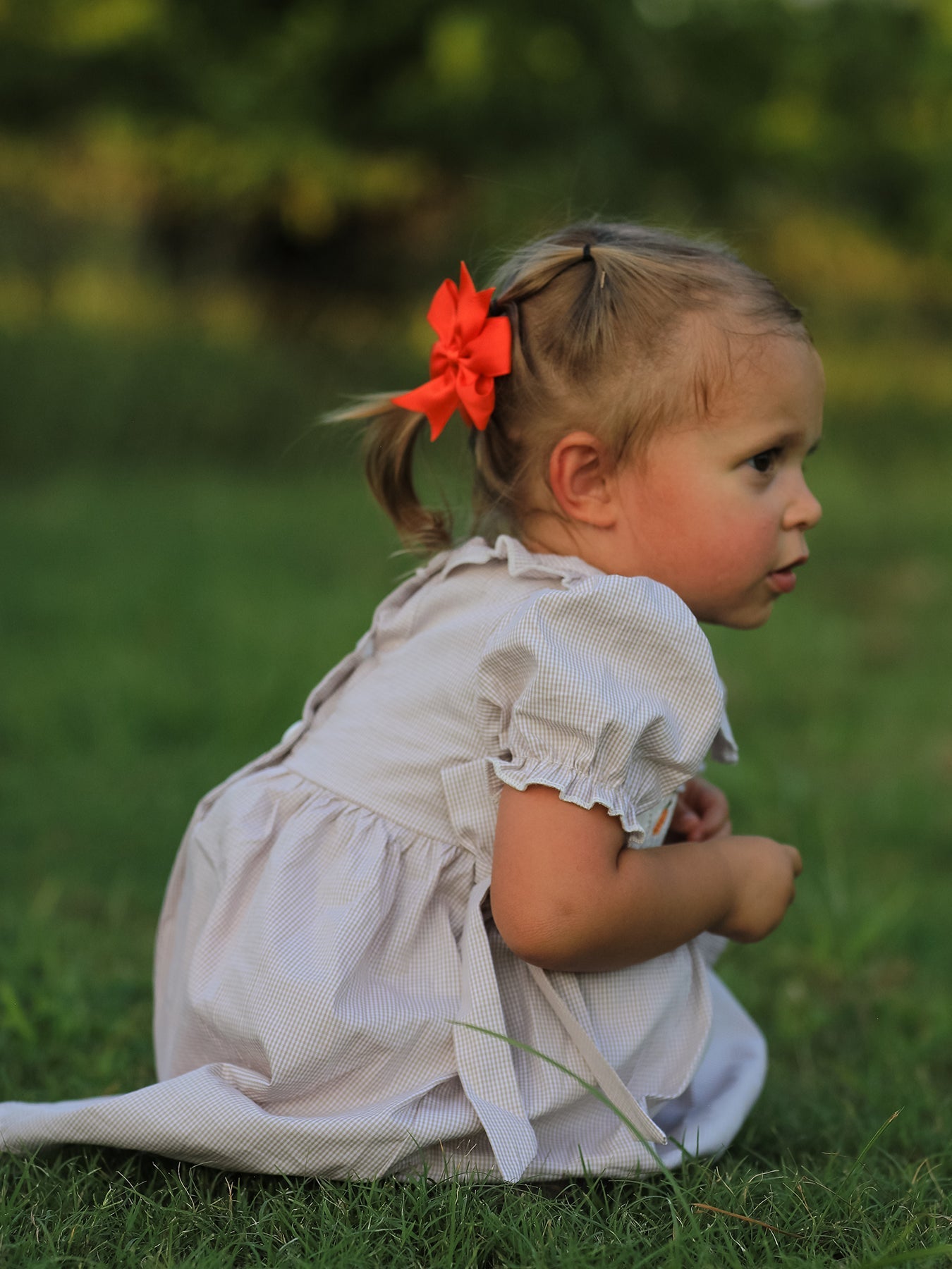 Fall Thanksgiving Pumpkin Embroidery Smock Plaid Girls Dress - Abbies Place